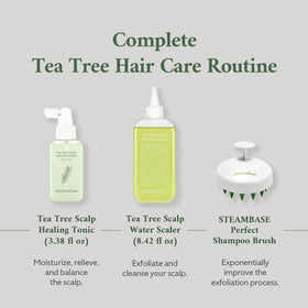 Packaging of STEAMBASE Tea Tree Scalp Healing Tonic showing product details