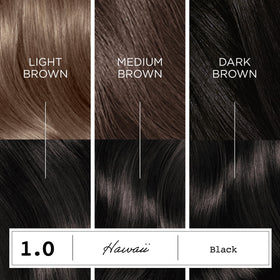 Pair of gloves included in Clairol ColorStrong kit