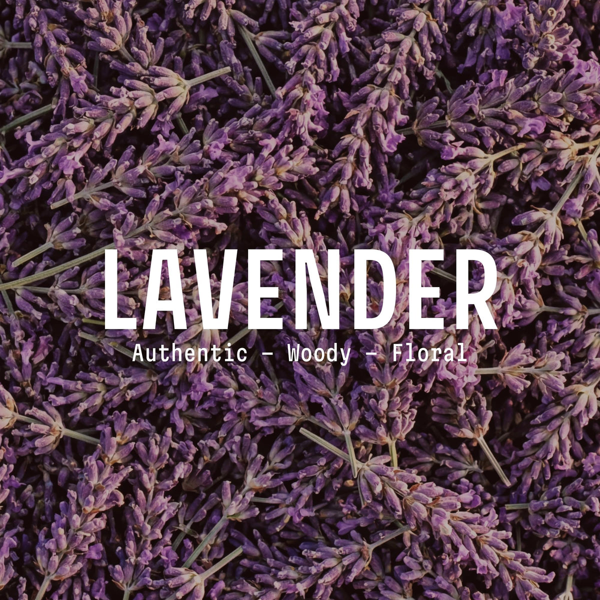 Panier des Sens Lavender Liquid Hand Soap 16.9 fl oz back view