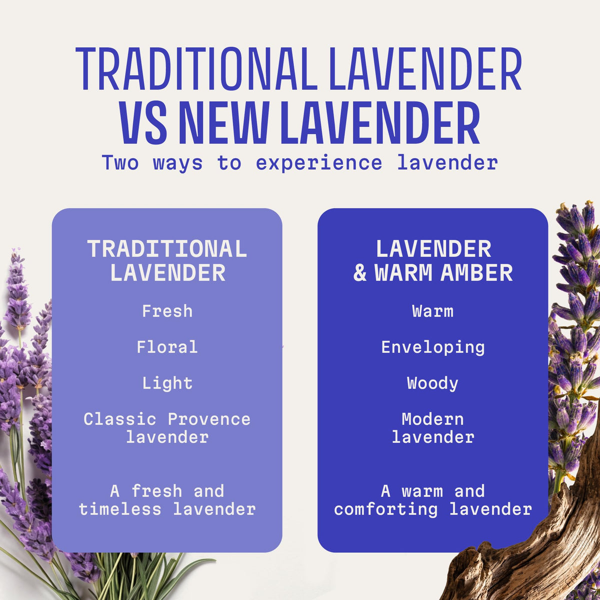 Panier des Sens Lavender Liquid Hand Soap 16.9 fl oz back view