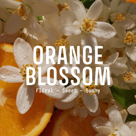 Panier des Sens Orange Blossom Liquid Hand Soap 1L side view