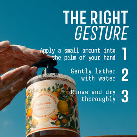 Panier des Sens Provence Citrus Liquid Hand Soap packaging