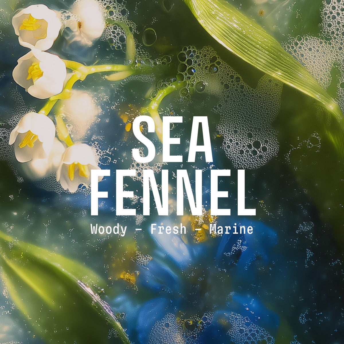 Panier des Sens Sea Samphire Liquid Hand Soap back view