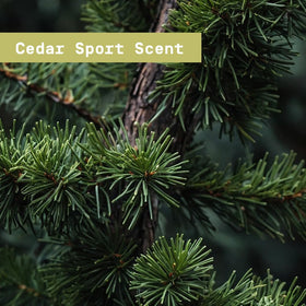 PAPATUI Refreshing Body Wash Cedar Sport lifestyle scene