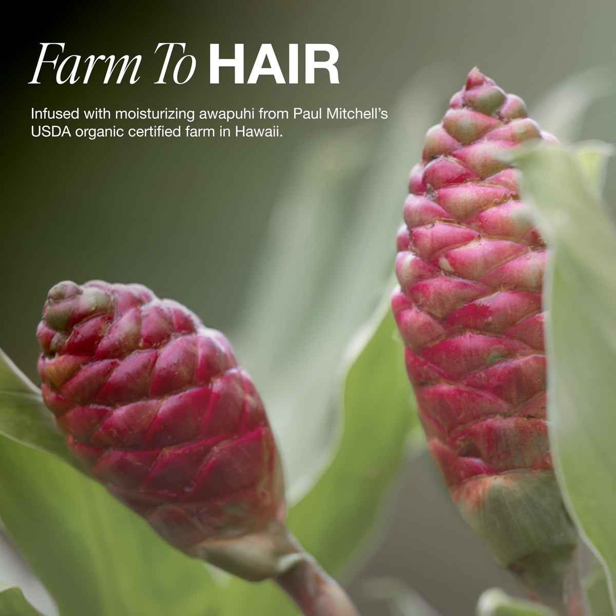 Paul Mitchell Awapuhi Shampoo eco-friendly packaging