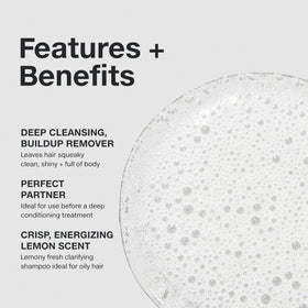 Paul Mitchell Shampoo Two back label details