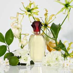 Paul Sebastian Design Eau de Parfum floral scent notes
