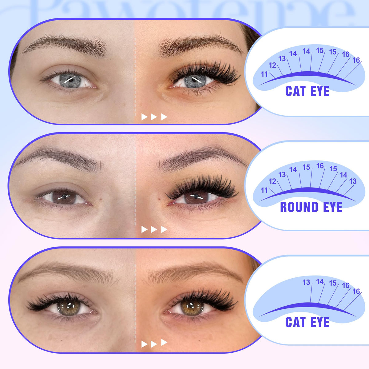 Pawotence Lash Clusters in use on a model's eyes