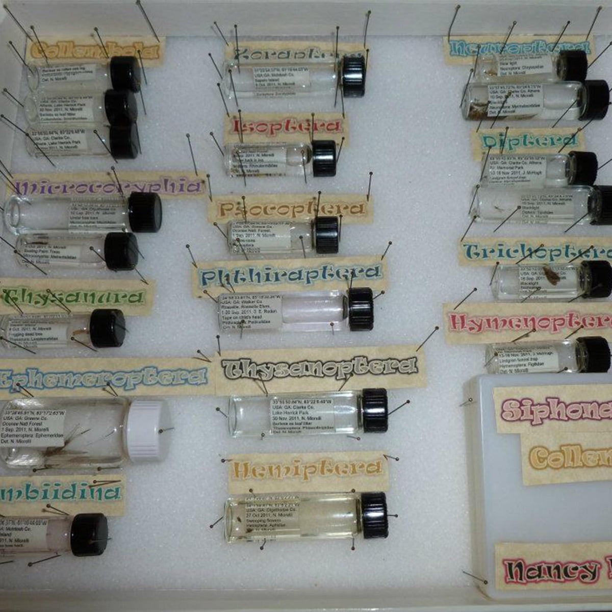 PEKYBIO 10ML clear glass vial in a travel bag