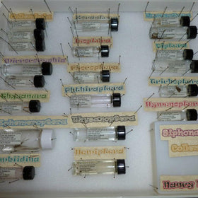 PEKYBIO 10ML clear glass vial in a travel bag