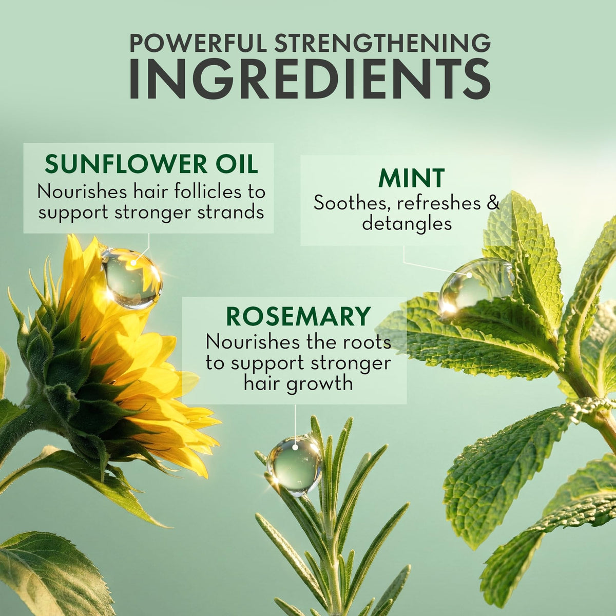 PHARM TO TABLE Leave In Conditioner Spray Rosemary & Mint application on hair