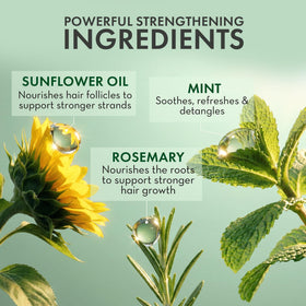 PHARM TO TABLE Leave In Conditioner Spray Rosemary & Mint application on hair