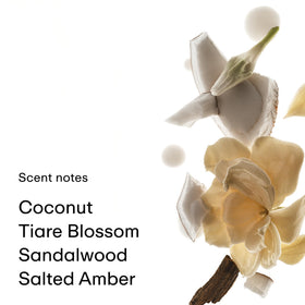 PHLUR Coconut Skin Body Mist on a beach background