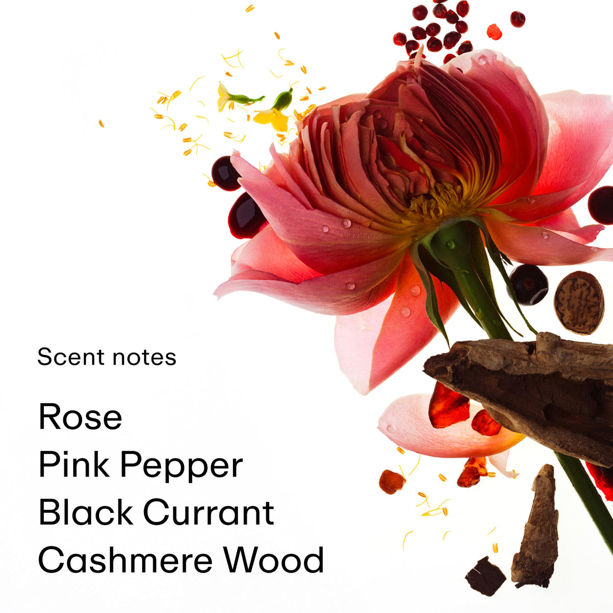 PHLUR Rose Whip Natural Deodorant lifestyle scene on bathroom counter
