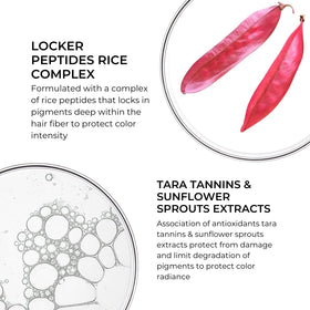 PHYTO Color Anti-Fade Shampoo with ingredients displayed