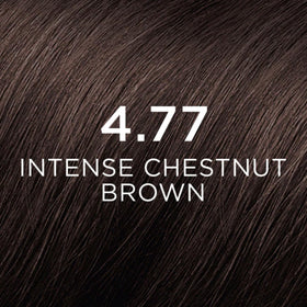 PHYTO Phytocolor 4.77 Intense Chestnut Brown coloring cream tube