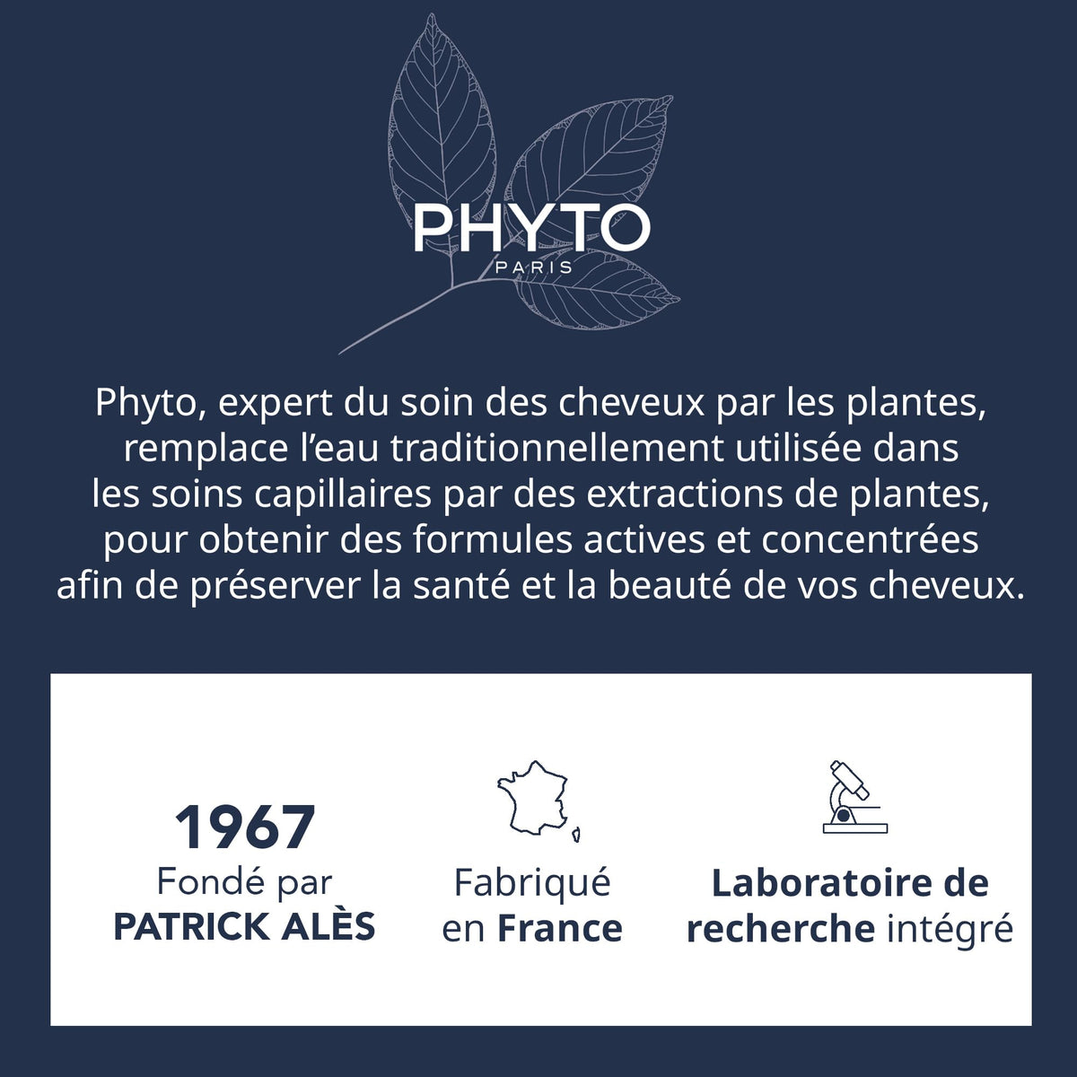 PHYTO Phytocolor 5.5 Very Light Mahogany Brown hair color on model