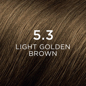 PHYTO Phytocolor Permanent Hair Color 5.3 Light Golden Brown coloring cream bottle