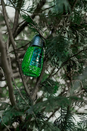 Pino Silvestre Original Eau De Toilette packaging