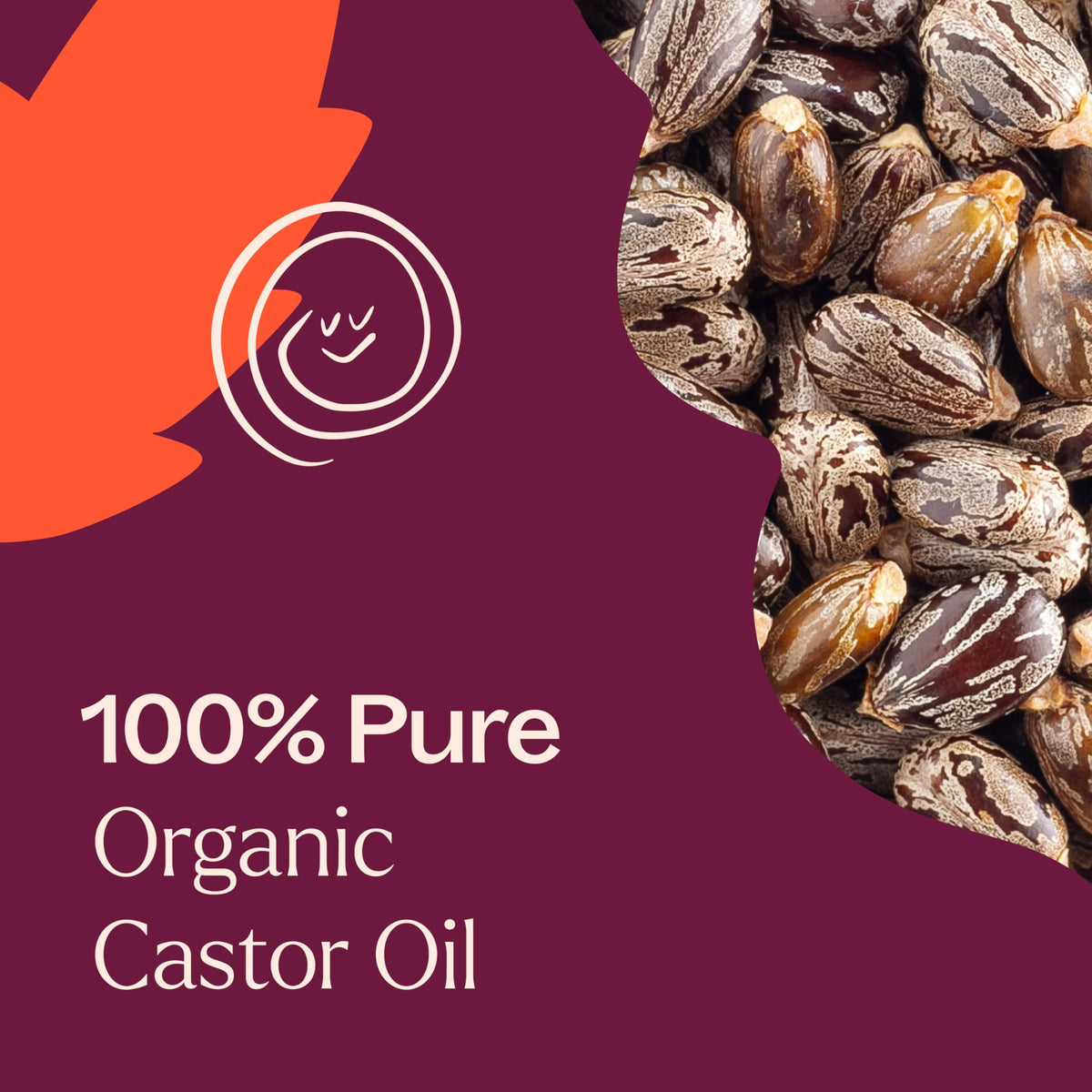 Plant Therapy Organic Castor Body Oil Roll On 30 mL back view