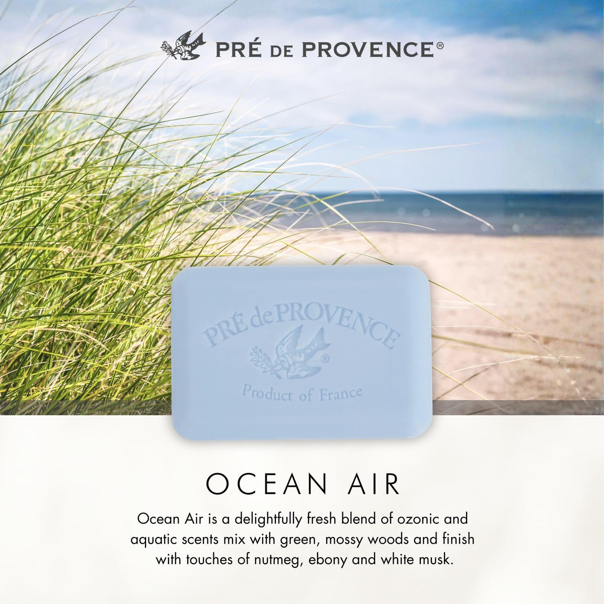 Pre de Provence Artisanal Soap Bar Ocean Air with decorative elements