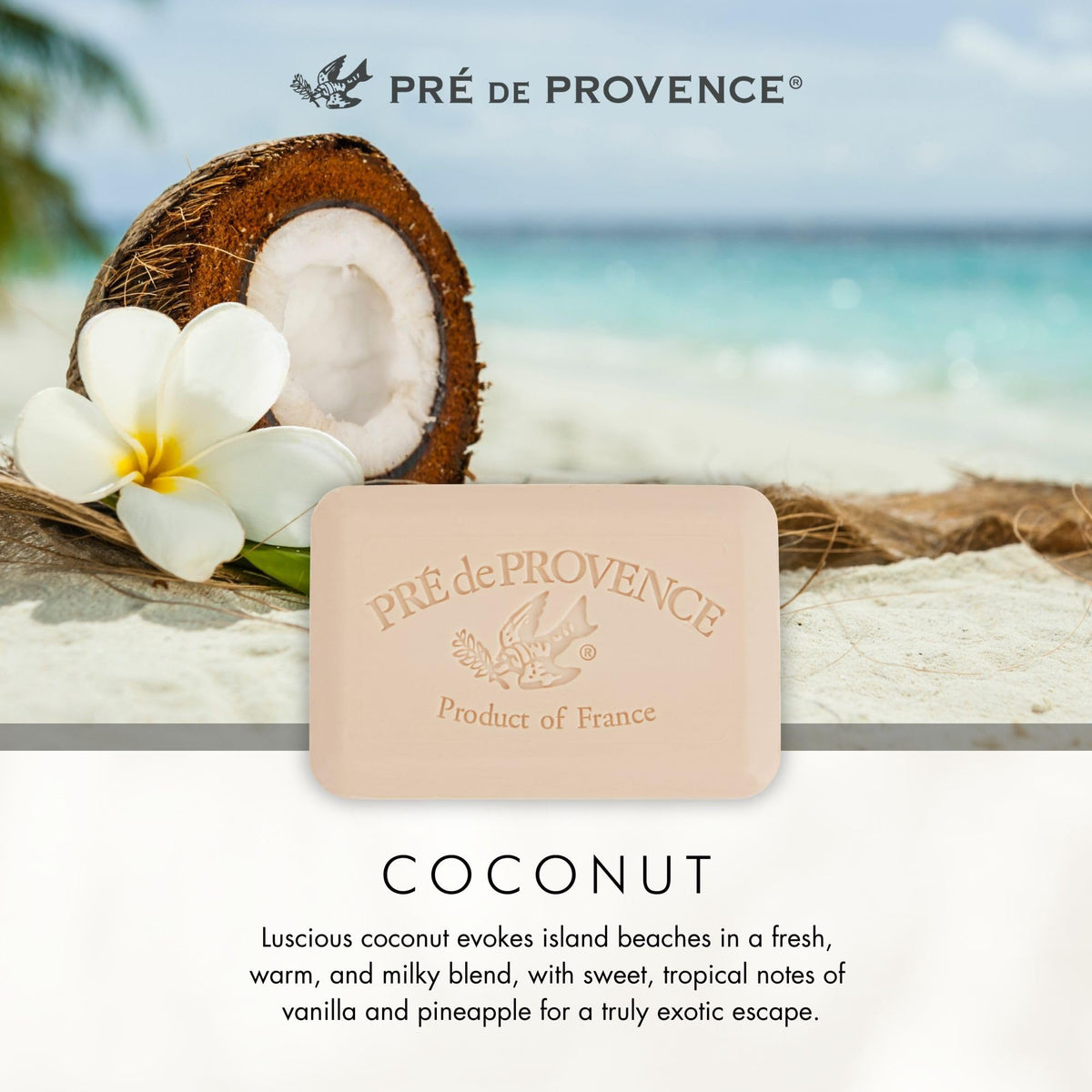 Pre de Provence Coconut Soap Bar with a gift basket
