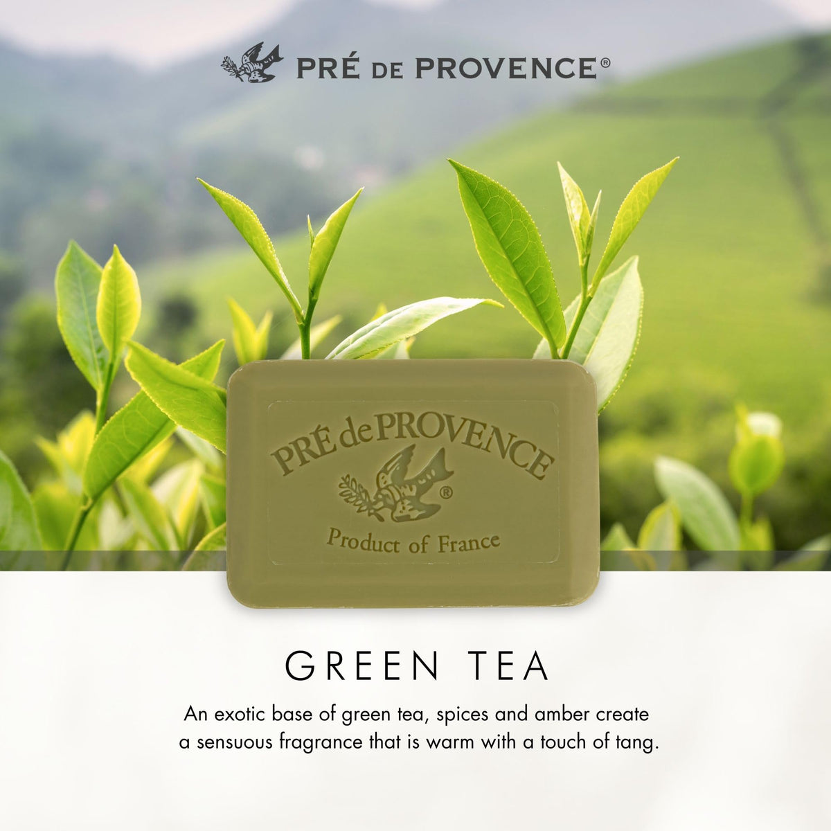 Pre de Provence Green Tea Soap Bar on a decorative dish