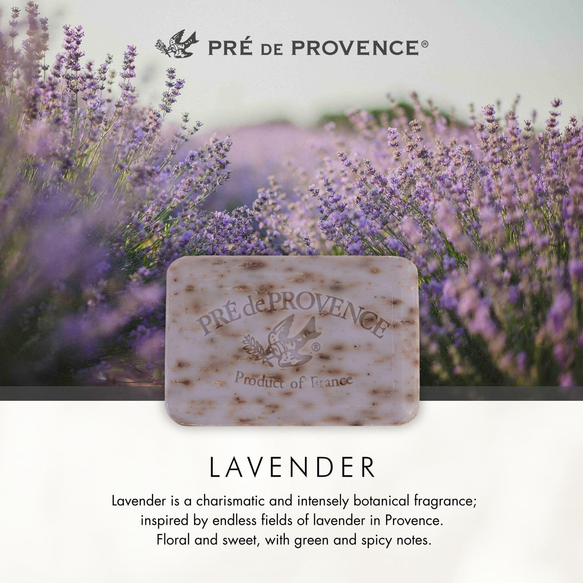 Pre de Provence Lavender Soap Bar on a decorative dish