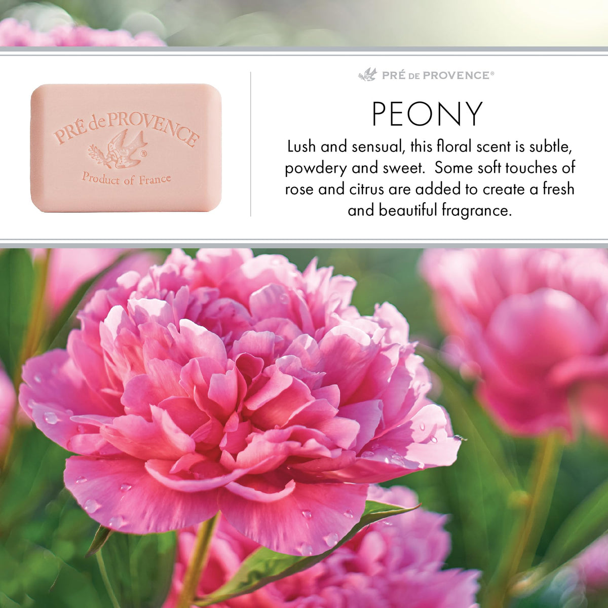 Pre de Provence Soap Bar displayed on a bathroom counter