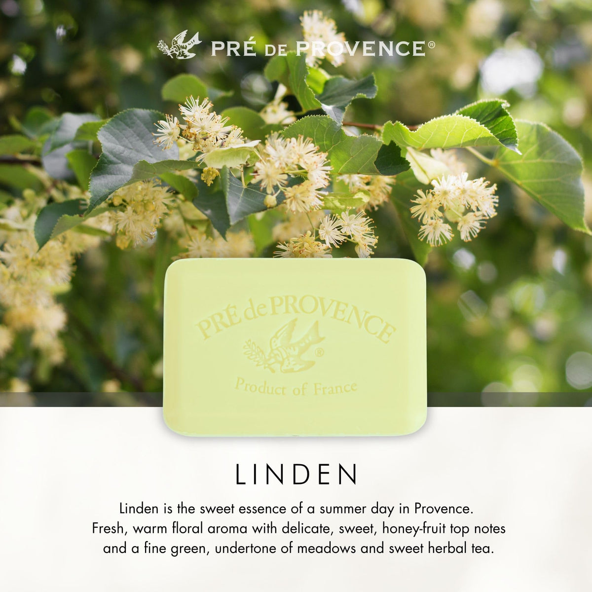 Pre de Provence soap bar on a decorative dish