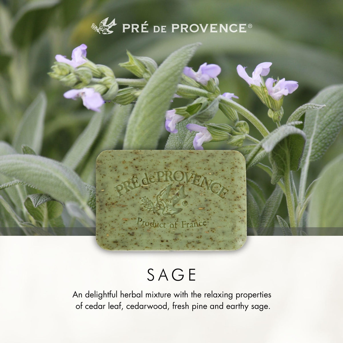 Pre de Provence soap bar with lather demonstration