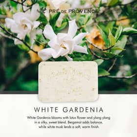 Pre de Provence soap bar with shea butter
