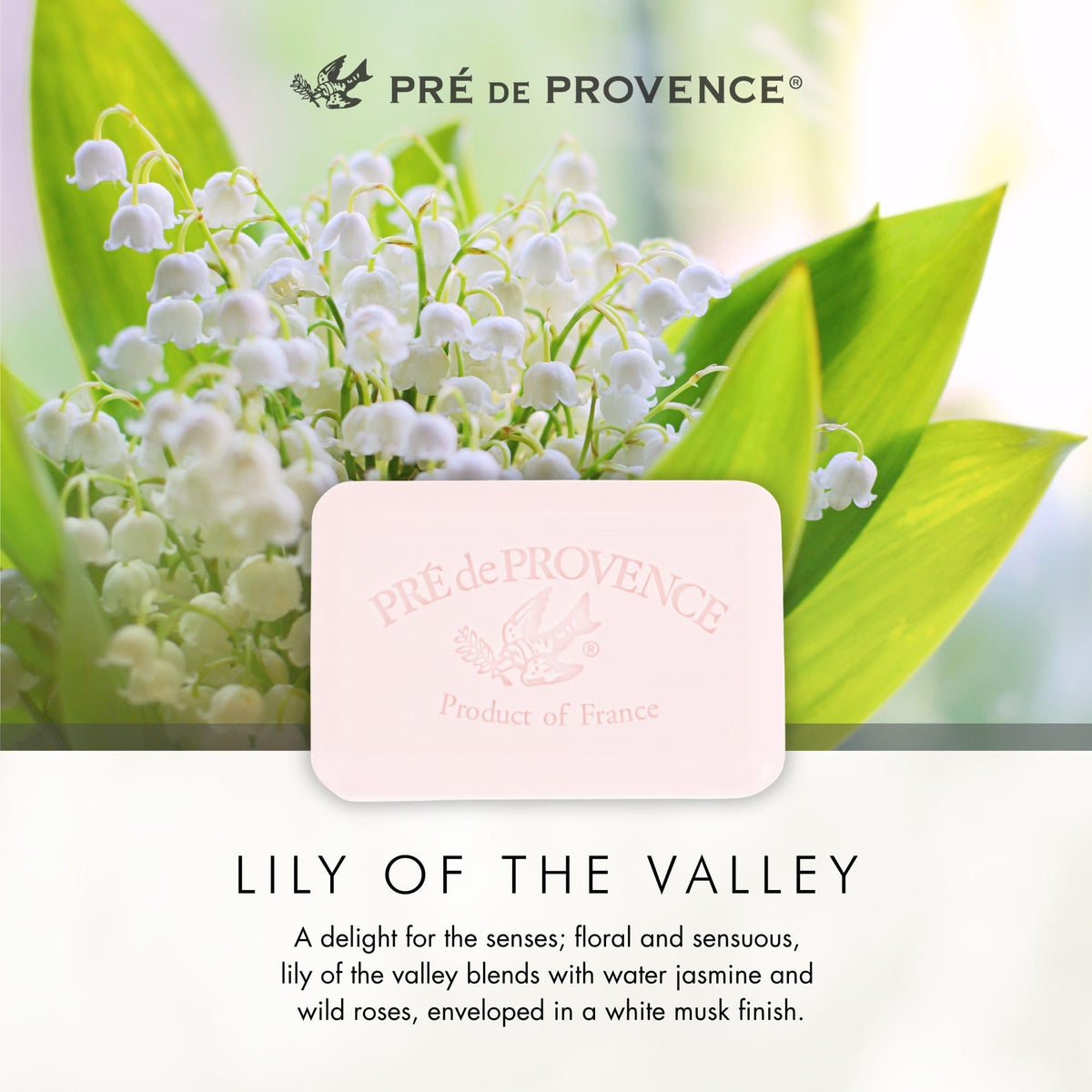 Pre de Provence soap lathering on hands