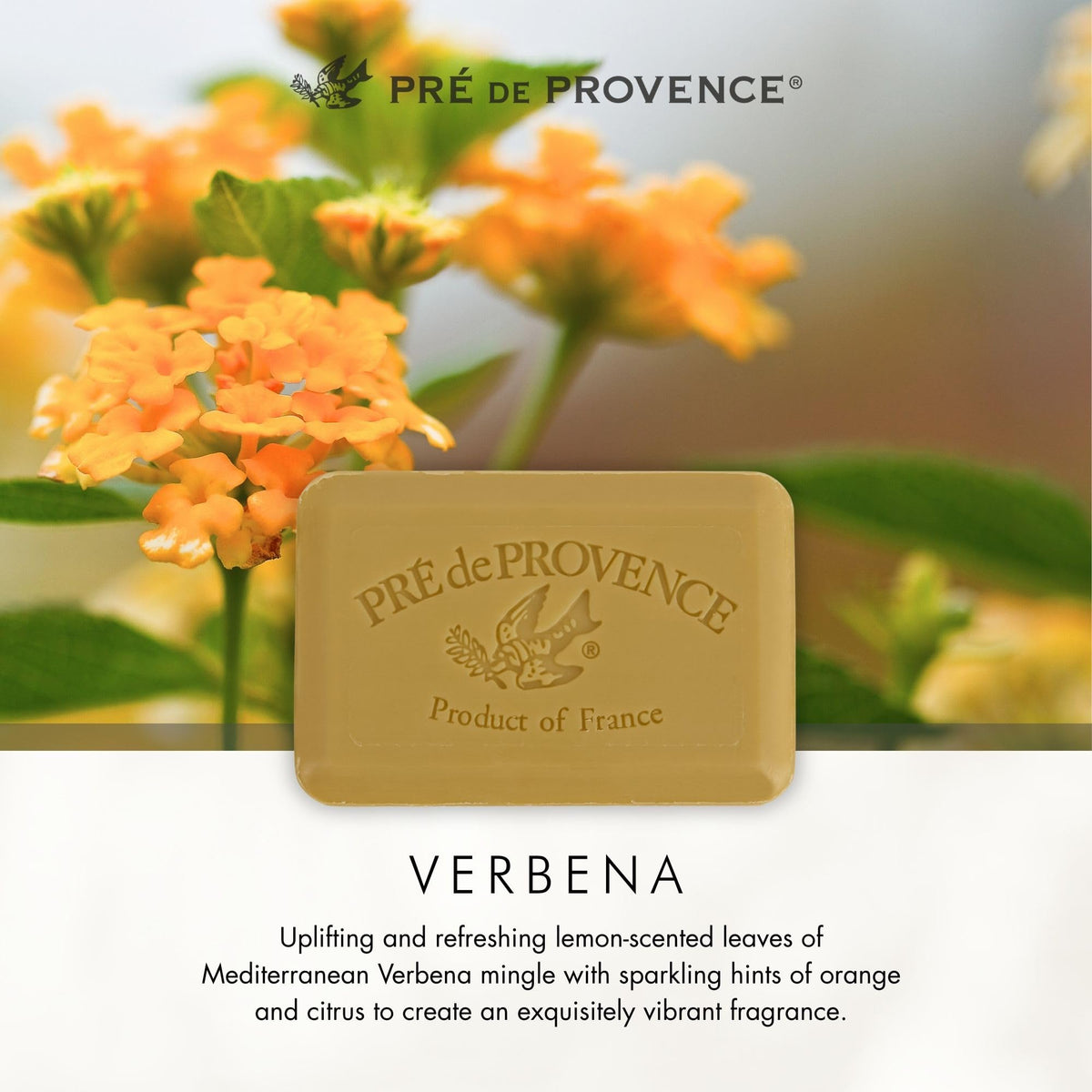 Pre de Provence Verbena Soap Bar in a gift basket