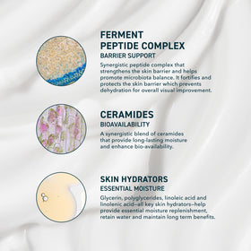 Prequel Skin Face Moisturizer Peptide Cream application on skin