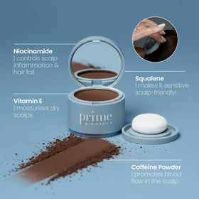 PROMETICS Instant Coverage Hairline Powder Silver Queen with hairbrush