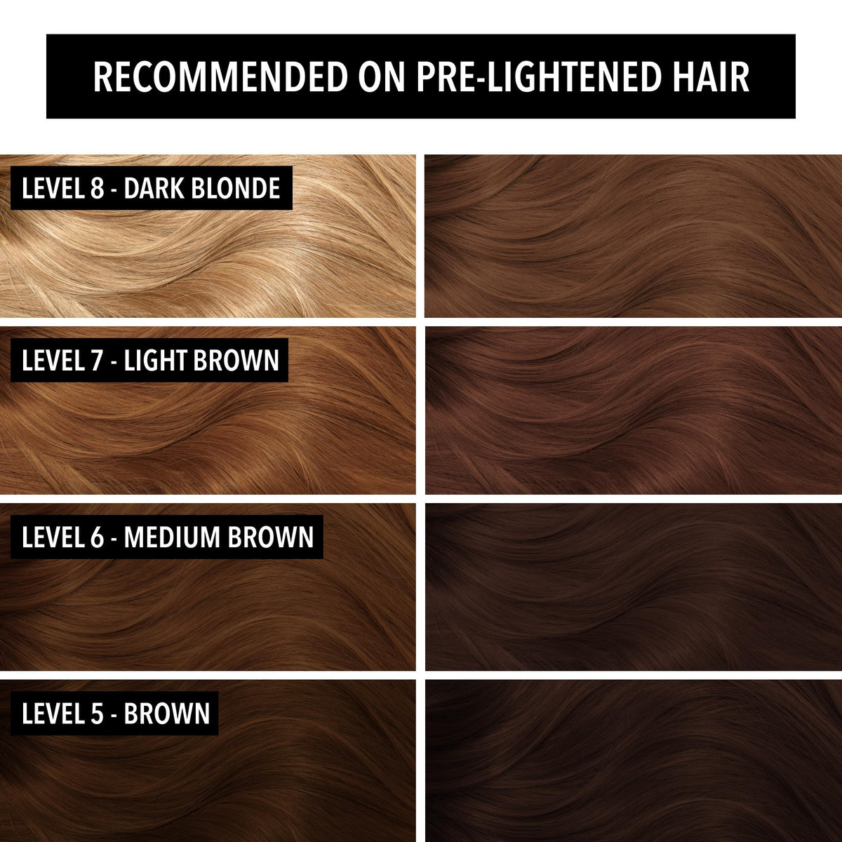 Pulp Riot Careless Warm Brown hair color application on hair
