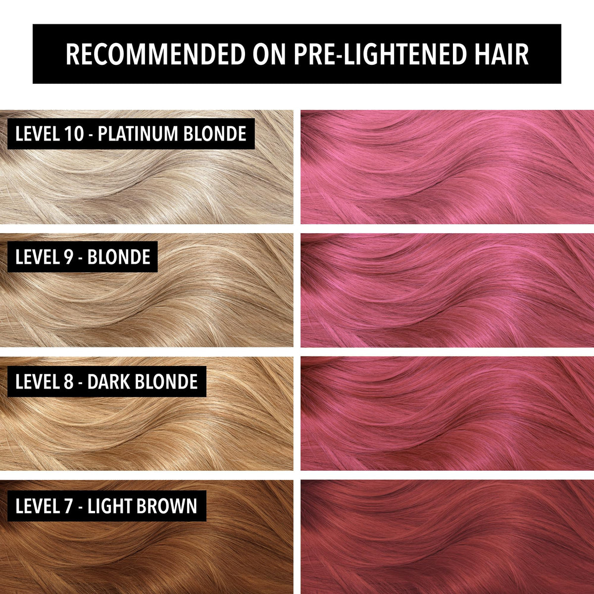 Pulp Riot Cleopatra Peach Rose hair color application on hair
