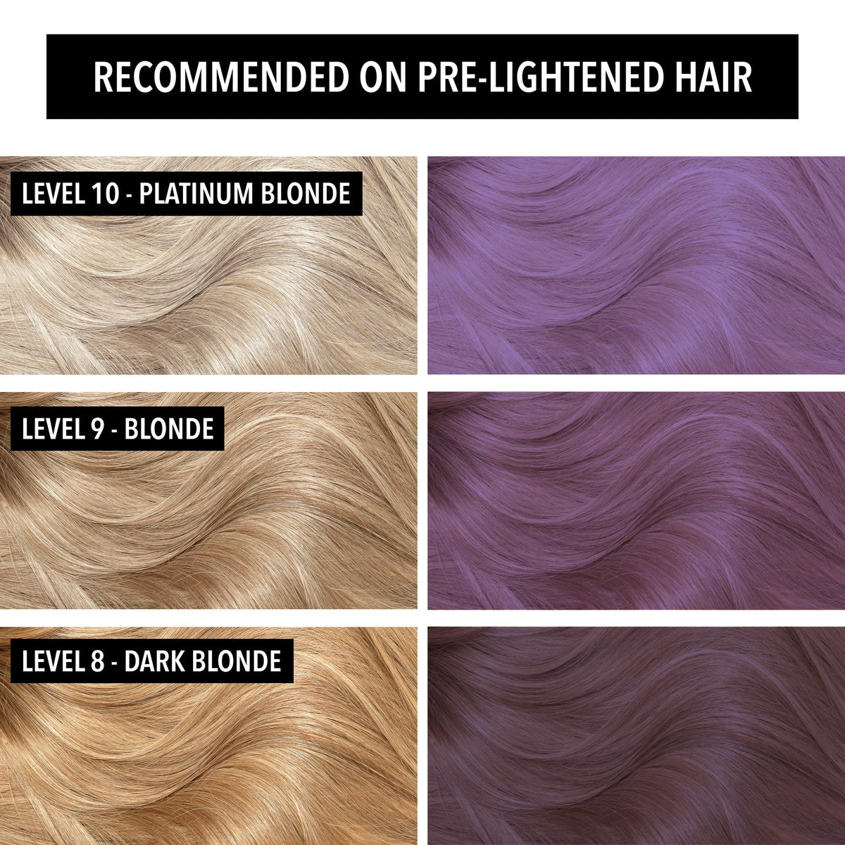 Pulp Riot Nevermore hair color application process on clean hair