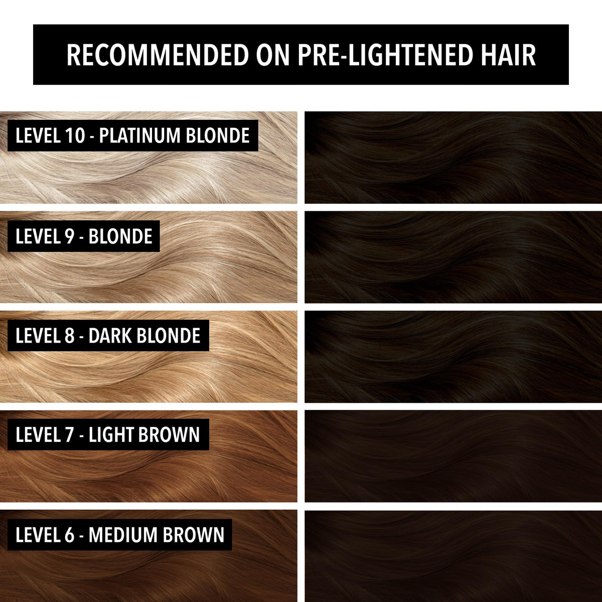 Pulp Riot Noir hair color application on hair