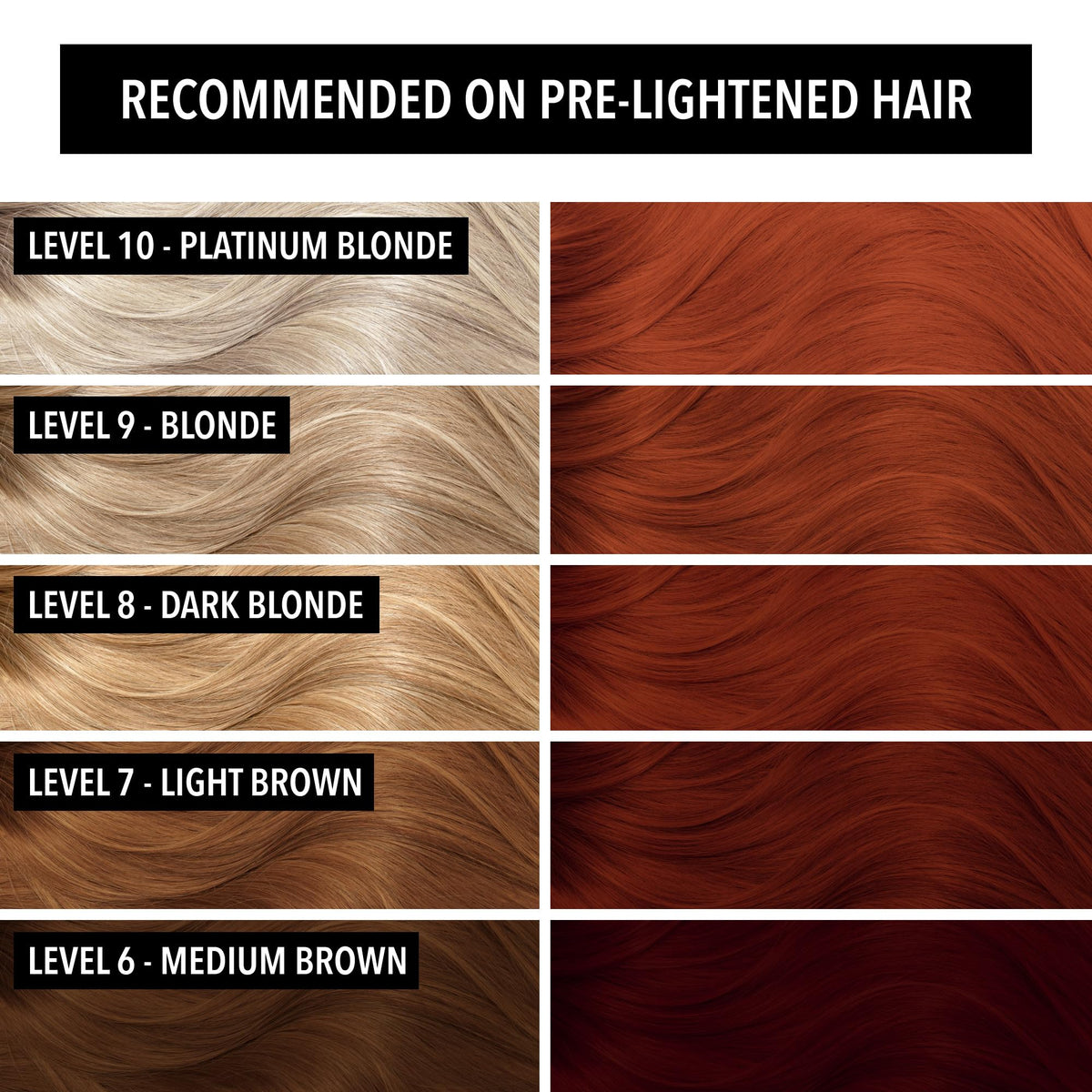 Pulp Riot Shag Rug hair color application on hair