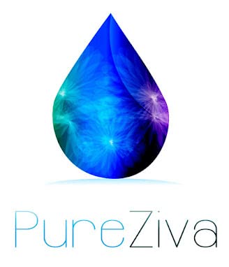 Pure Ziva Deep Forest Green Blue Grey Eyeshadow packaging