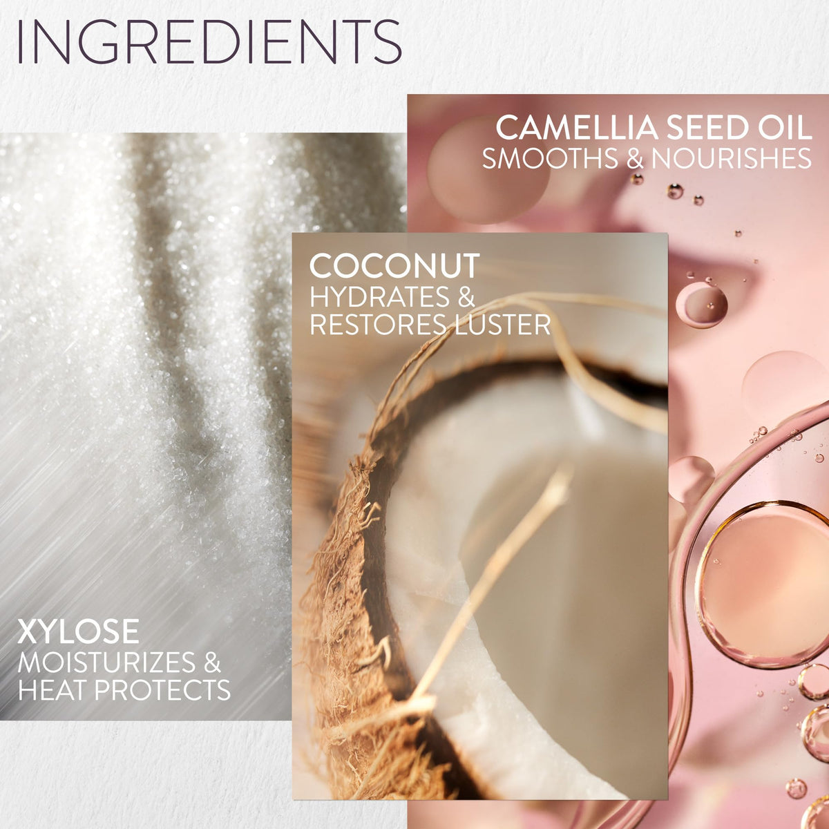 Pureology Color Fanatic Leave-In Conditioner with coconut and camellia oils