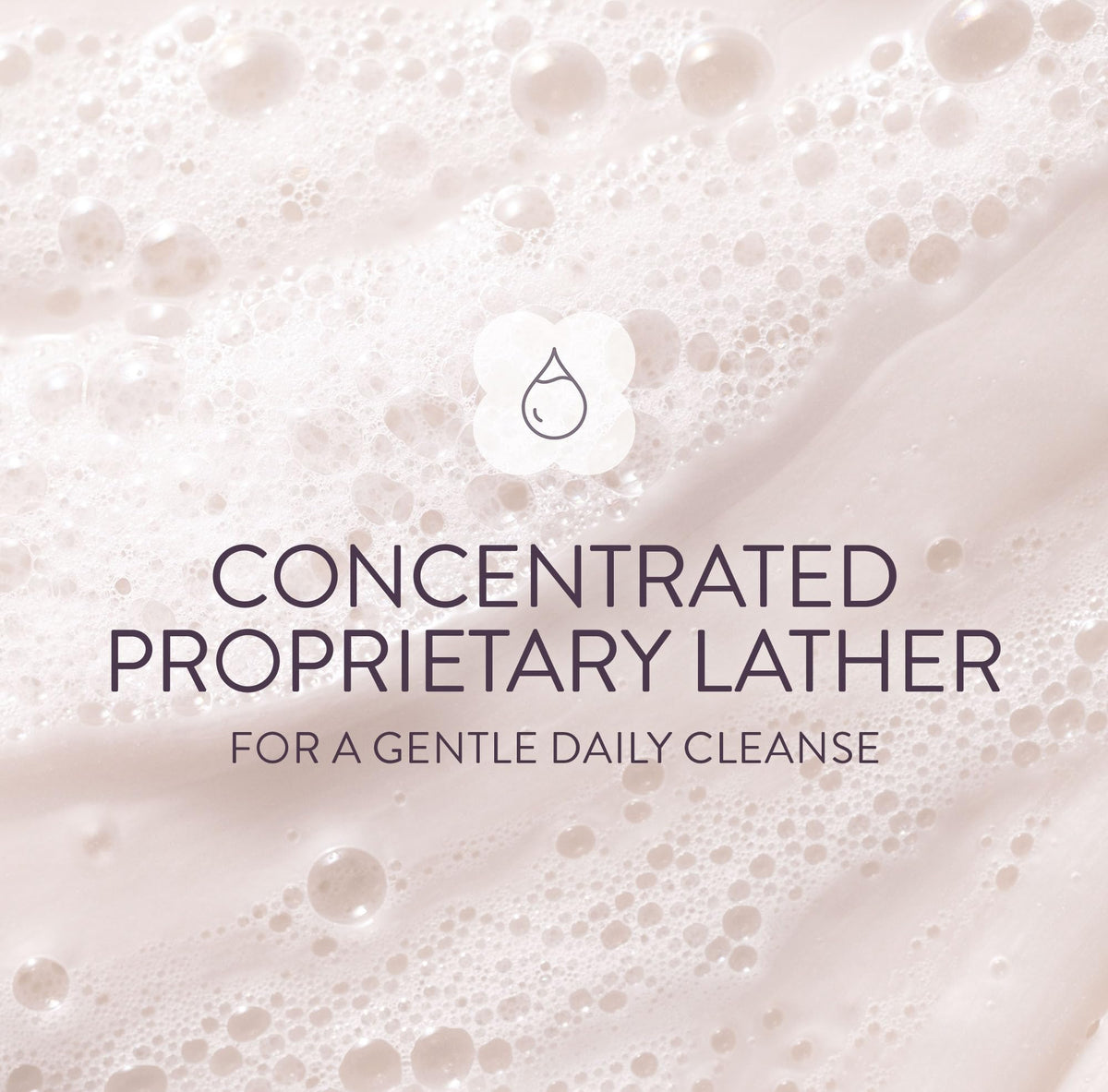 Pureology Hydrate Sheer Shampoo packaging details