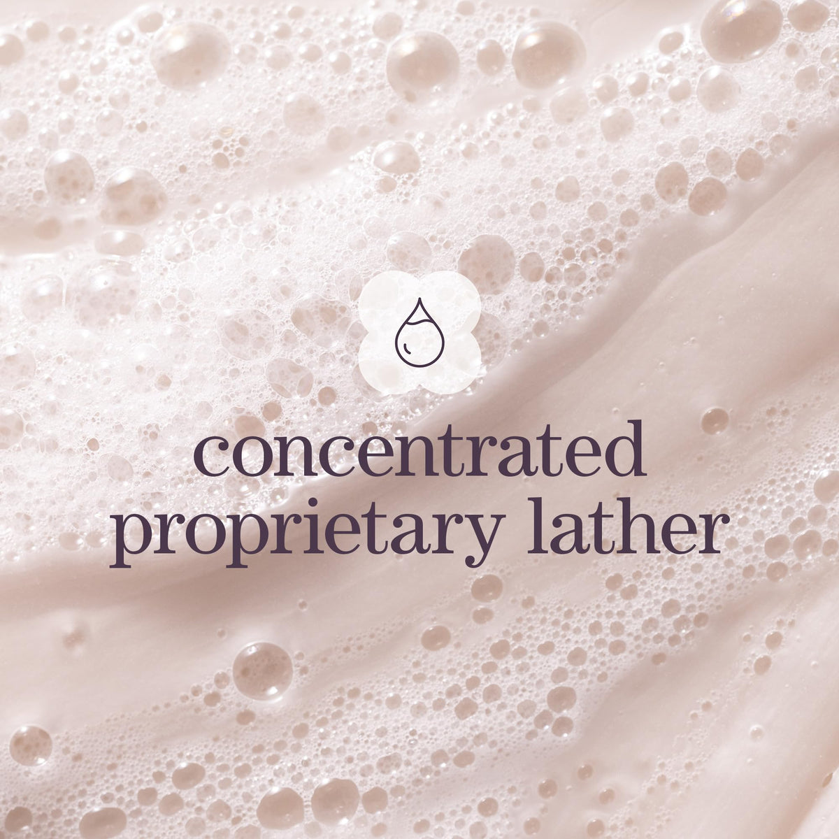 Pureology Hydrate Sheer Shampoo with green tea and jojoba