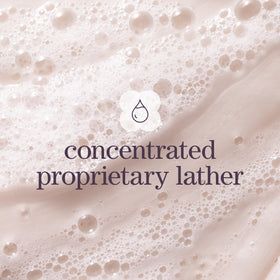 Pureology Hydrate Sheer Shampoo with green tea and jojoba