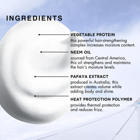 R+Co Aircraft Pomade Mousse with papaya extract