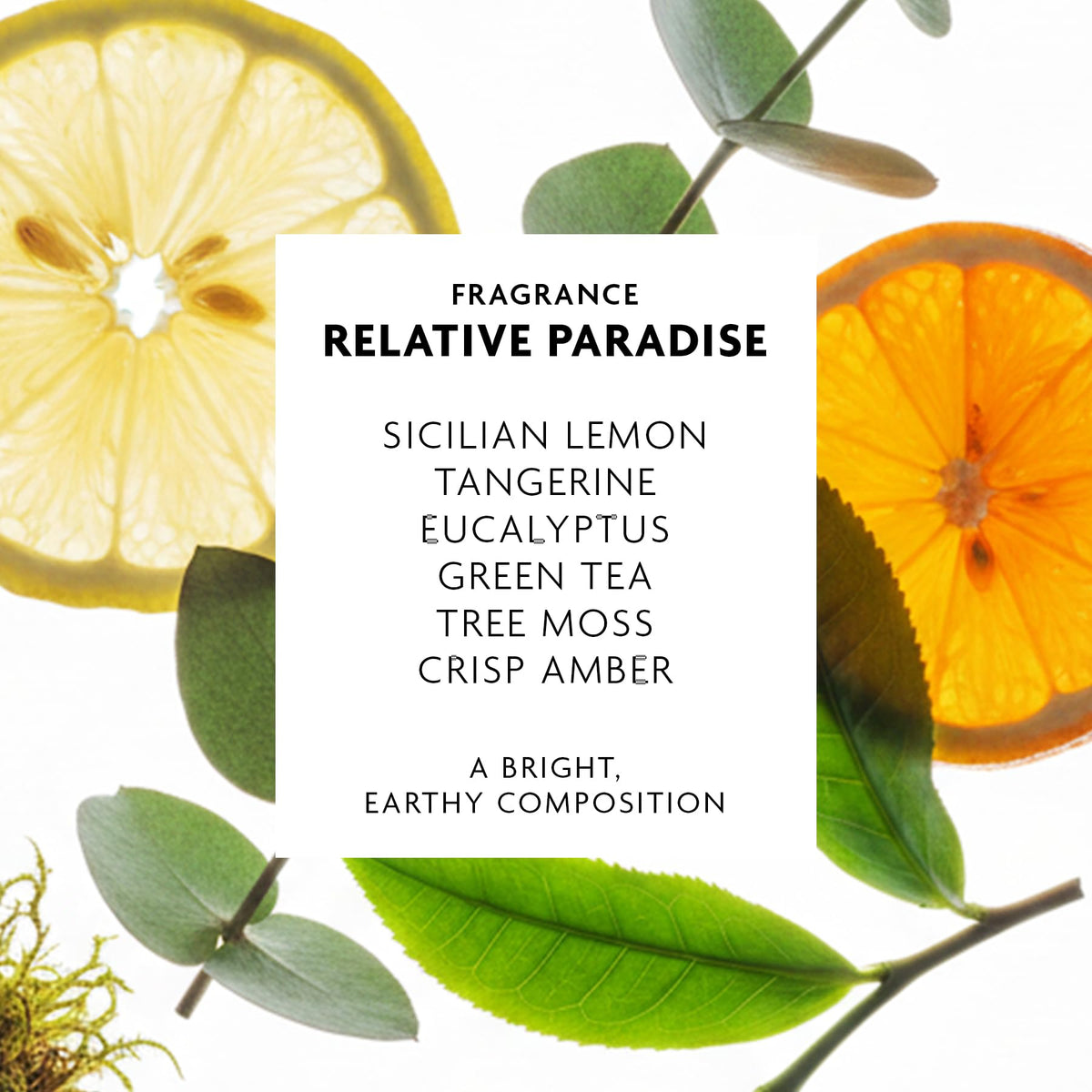 R+Co Badlands Dry Shampoo Paste 2.2 oz jar with coconut oil and volcanic ash