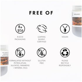 R+Co Badlands Dry Shampoo Paste on styled hair