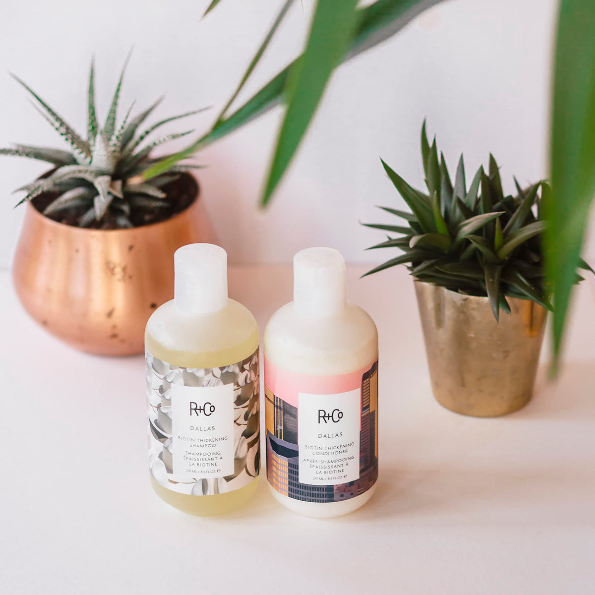 R+Co Dallas Biotin Thickening Shampoo being applied to hair